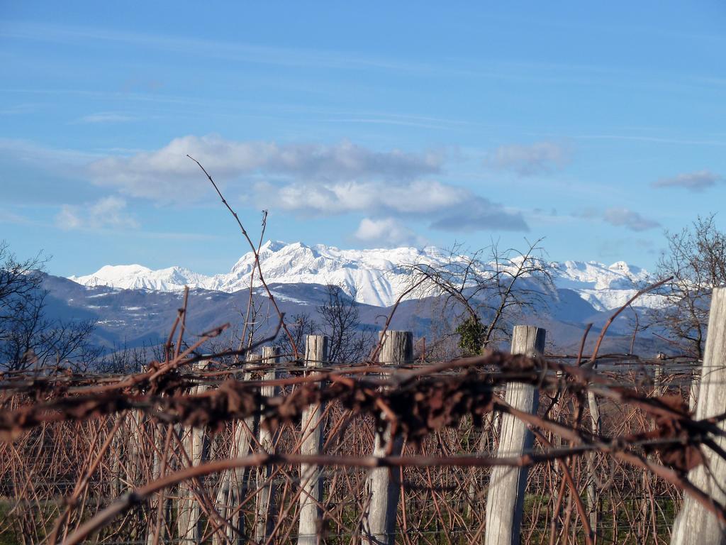 Tenuta Perusini Corno di Rosazzo Εξωτερικό φωτογραφία